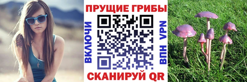 Псилоцибиновые грибы Cubensis  Игра 